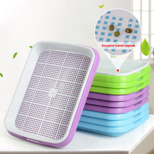 Plastic Nursery Pots Seed Sprouter Tray PP Soil-Free Big Capacity Wheatgrass Grower Seedling Tray Sprout Plate Hydroponic