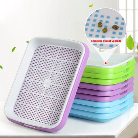 Plastic Nursery Pots Seed Sprouter Tray PP Soil-Free Big Capacity Wheatgrass Grower Seedling Tray Sprout Plate Hydroponic