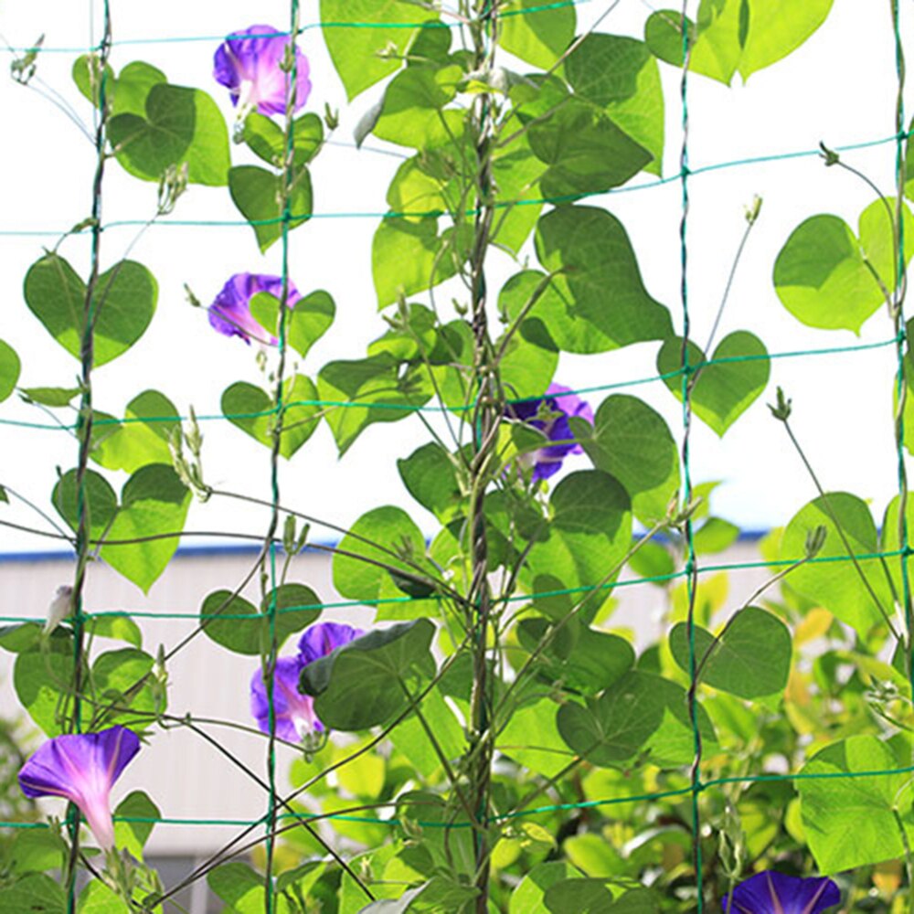 Garden Green Nylon Vegetable Plant Trellis Netting Support Nets Bean Plant Climbing Grow Fence Anti-bird Net