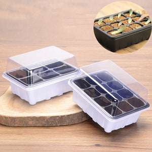 6/12 holes Planting Seed Tray Kit Plant Germination Box with Dome and Base Garden Grow Box Gardening