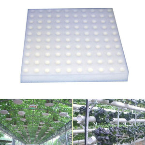 100 Pcs Soilless Hydroponic Vegetables Nursery Pots Nursery Sponge Culture System Water Planting For Home Garden Eco-Friendly