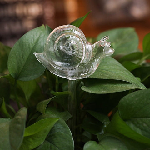 House Plants Flowers Automatic Water Feeder Auto Watering Devices Transparent Glass Water Feeder 6 Shape Self Watering Device