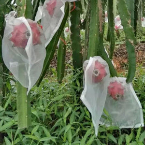 50Pcs Set Garden Plant Fruit Protect Drawstring Mesh Net Bag Anti Bird Netting Keeps out insects pests birds and other animals