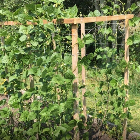 1Pcs Grow Frame Flower Vine Garden Weaving Plant Climbing Net Vegetable Polyester Support Cucumber Trellis Netting Mesh Landing