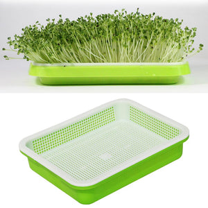 Double-layer Plastic Hydroponic Flower Basket Flower Plant Sprouting Tray Box Sprout Seedling Tray Paper Planting Sprout 40FP14