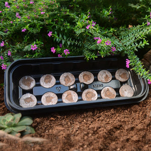 1pc Plastic Nursery Pots Planting Seed Tray Kit Plant Germination Box Garden Grow Box with Seedling Blocks