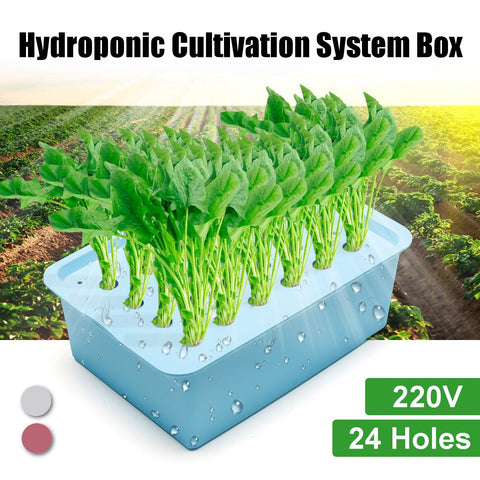 24 Holes Water Hydroponic Systems Kit 6 Holes Nursery Pots Soilless Cultivation Box Plant Seedling Grow Box Garden Tools 220V