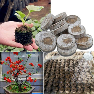 Seed Starting Plugs Seeds Starter Pallet Seedling Soil Block Professional Easy To Use 6/15pcs