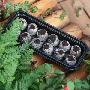 12 Holes Plastic Nursery Pots Planting Seed Tray Kit Plant Germination Box Garden Grow Box with Lid Seed Planting Box F28